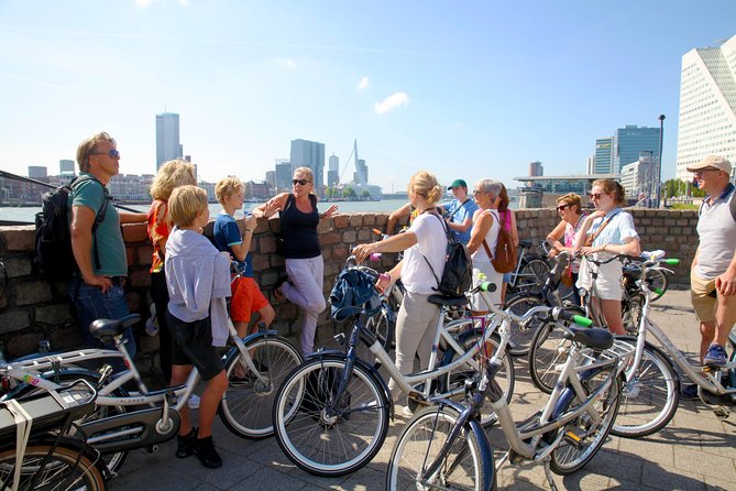Rotterdam Highlights Bike Tour - Fenix Food Factory and the Swan Nicknamed Bridge Moment