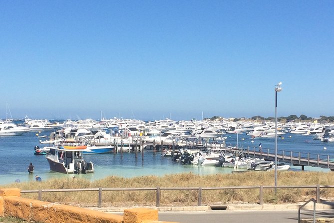 Rottnest Island ECO E Bike Tour - Paul’s guiding style: small group energy with real attention to flow