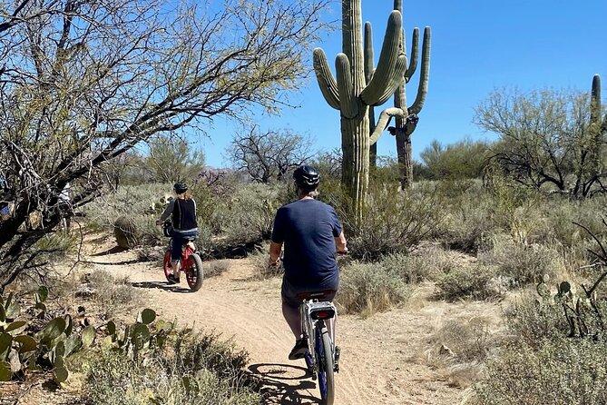 Saguaro National Park East E-Bike Tour - The Visitor Center stop: learning without turning it into a lecture
