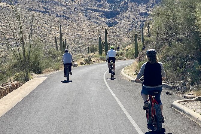 Saguaro National Park East E-Bike Tour - What to bring (and what to skip)