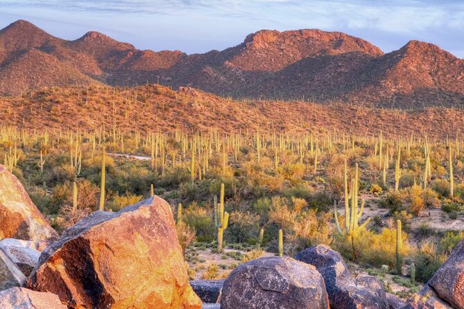 Saguaro National Park East E-Bike Tour - Fitness and rider rules (read this before you book)