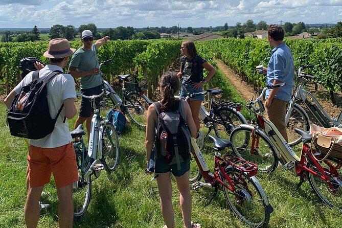 Saint Emilion Full Day Wine and Bike Tour - First Chateau Stop: Guided Wine Tastings Plus a Proper Tour
