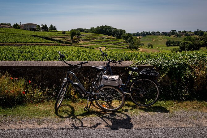 Saint Emilion Half Day Ebike and Wine Tour with Picnic. - Key highlights to clock before you go