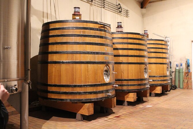 Saint Emilion Half Day Ebike and Wine Tour with Picnic. - Château la Rose Monturon: guided history, vineyard walk, and tasting