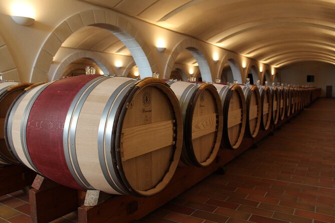 Saint Emilion Half Day Ebike and Wine Tour with Picnic. - How the wine portions add up (and how to handle it)
