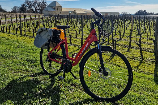 Saint Emilion Half Day Ebike and Wine Tour with Picnic. - Price and value: is $149.78 worth it?