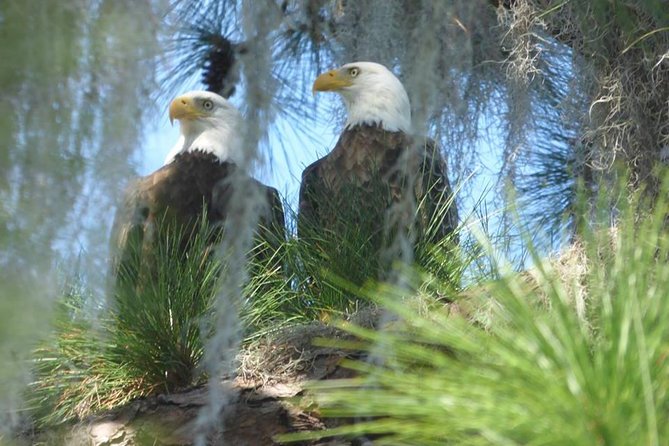 Saint Petersburg Preserve Bike Tour - Logistics that matter (and the small things that save your day)