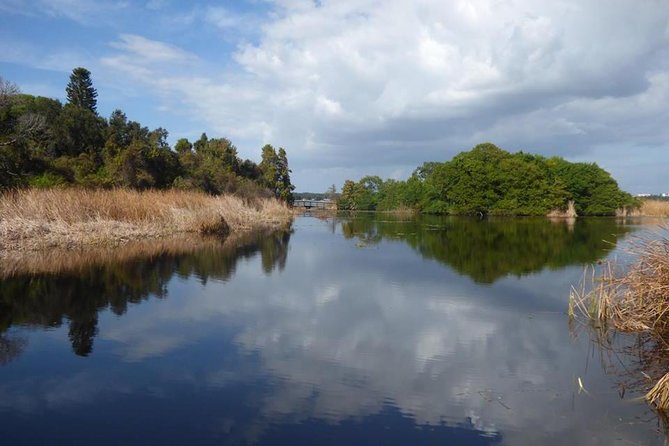 Saint Petersburg Preserve Bike Tour - Who should book this bike tour (and who might skip it)