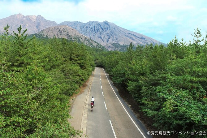 Sakurajima Century Lava Climb Journey with E-bike - Key highlights worth knowing before you go