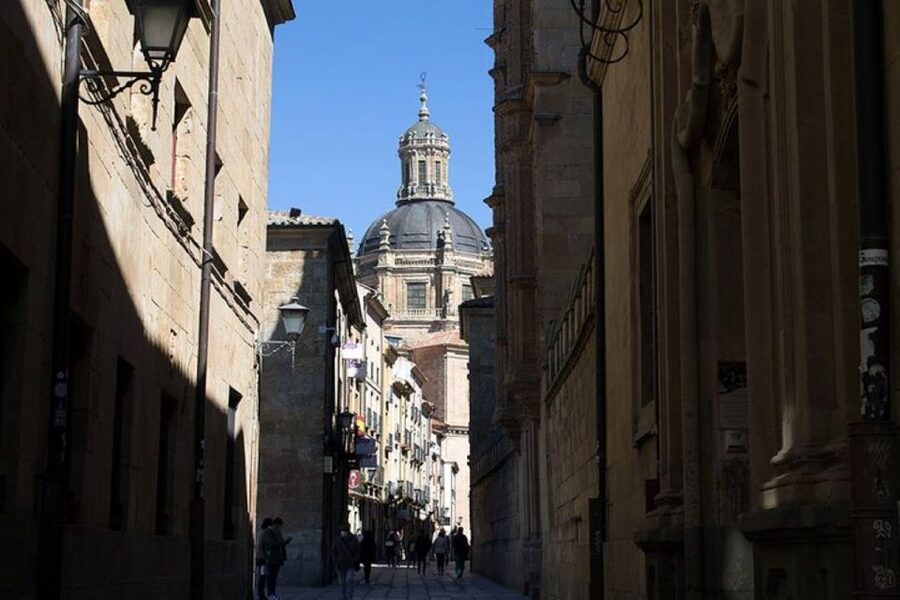 Salamanca: Guided Sightseeing Tour by Bicycle - Price and Value: Is $29 Good Here?