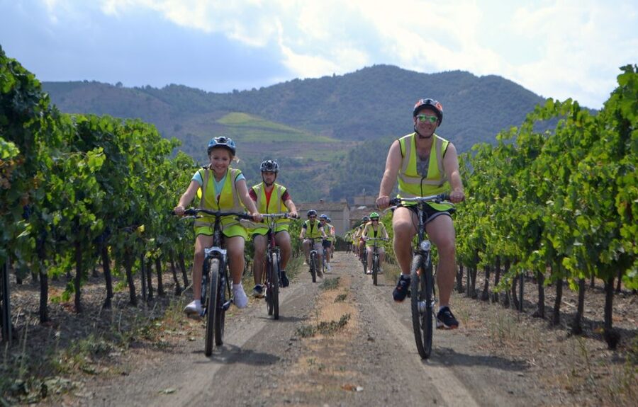 Salou: Easy Bike Tour with Wine Tasting - Who Should Book This Easy Bike and Wine Combo?