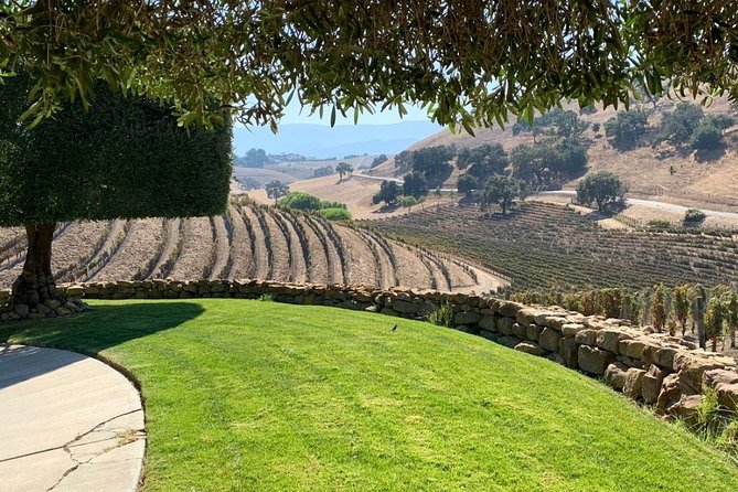 Santa Barbara Vineyard to Table Taste Tour by E-Bike - Los Olivos tastings at Rideau Vineyard and Rancho Olivos olive oil