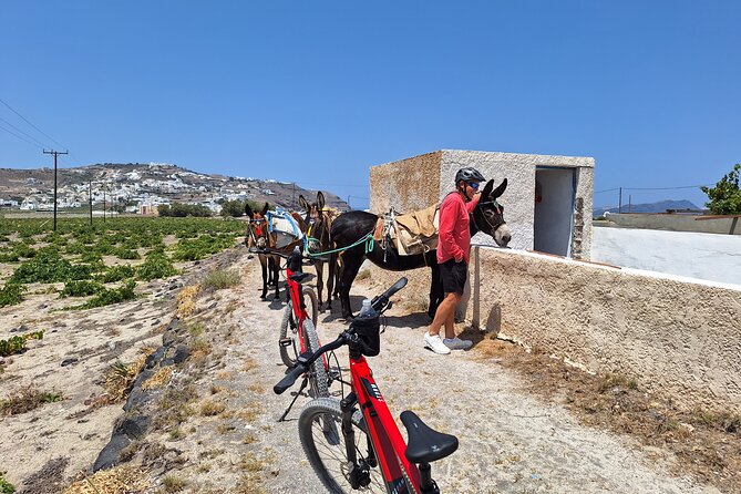 Santorini Small Group Guided E-bike Tour & Local Tomato Museum - Stop 3: Castelli of Emporio for Medieval Views