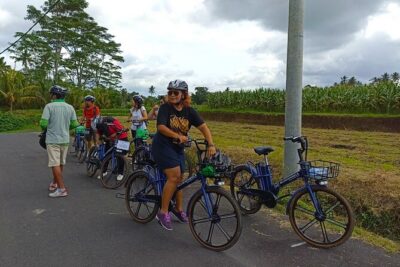 Sanur Village E-bike Tour: Family-Friendly Adventure - Price and value: what $47 buys you in Sanur