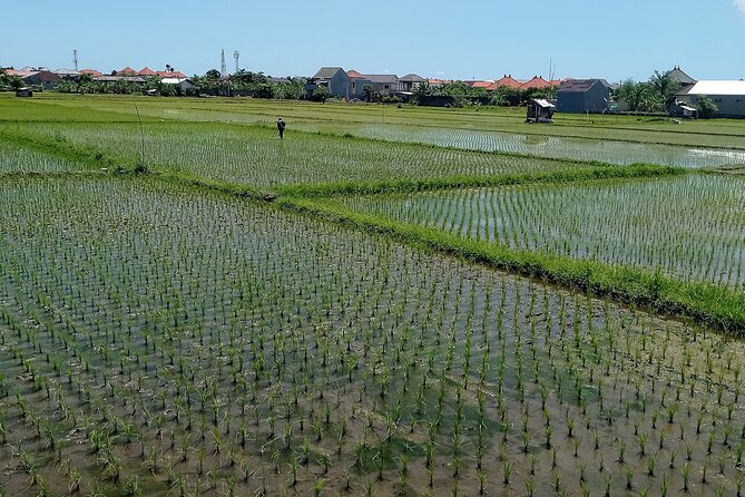 Sanur Village E-bike Tour: Family-Friendly Adventure - Hidden village temple moments: respectful sight-seeing without the rush