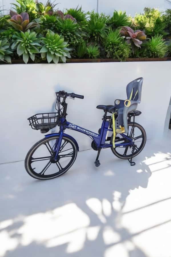 Sanur Village E-bike Tour: Family-Friendly Adventure - The local market stop: where you taste everyday Bali