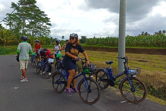Sanur Village E-bike Tour: Family-Friendly Adventure - Price and value: what $47 buys you in Sanur