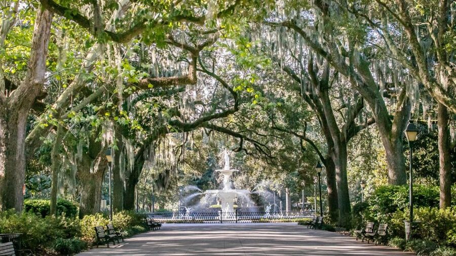 Savannah: History, Culture, & Scenic Views E-Bike Tour - Historic District Stories, Oak Trees, and Planned Photo Stops