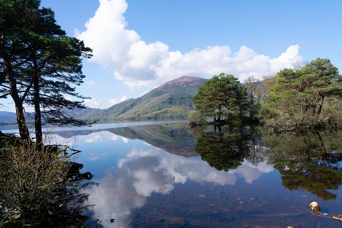 Self-Guided Bike Tour of Killarney National Park, Muckross Gardens & Waterfall - Muckross Abbey: Franciscan history with a quiet feel