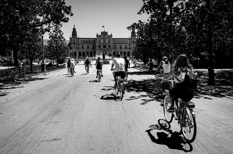 Seville: City Sightseeing and Local Culture Bike Tour - Torre del Oro and San Telmo Palace: What You Notice When You Slow Down