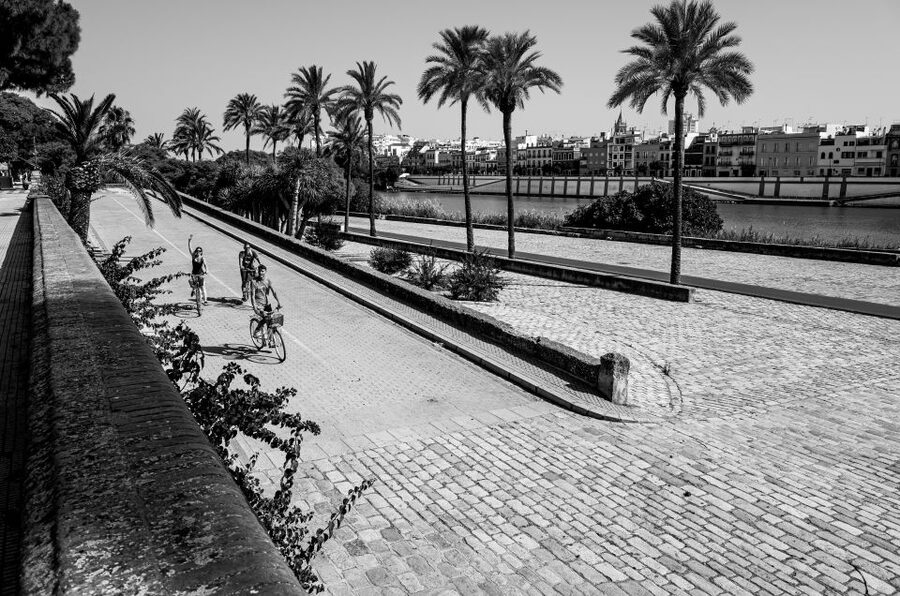 Seville: City Sightseeing and Local Culture Bike Tour - Alcázar of Seville: A Royal Stop That Still Feels Practical