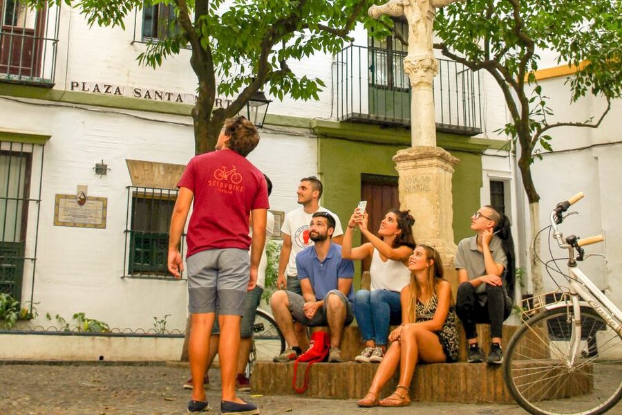 Seville: City Sightseeing and Local Culture Bike Tour - Bikes, Safety, and Pace: Comfortable Riding With a Few Real-World Notes