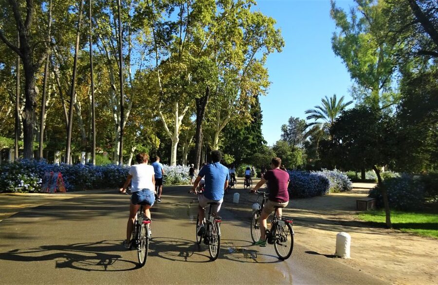 Seville: Electric Bike Tour in Small Group - Plaza de España: The Photo Moment That Still Feels Worth It