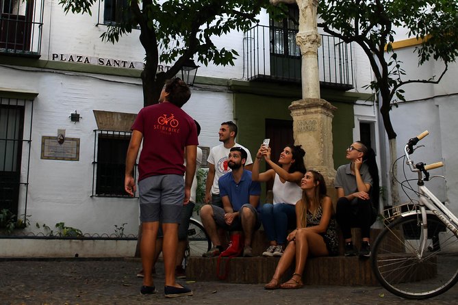 Seville Highlights Bike Tour (English) - Pace, comfort, and road reality in Seville