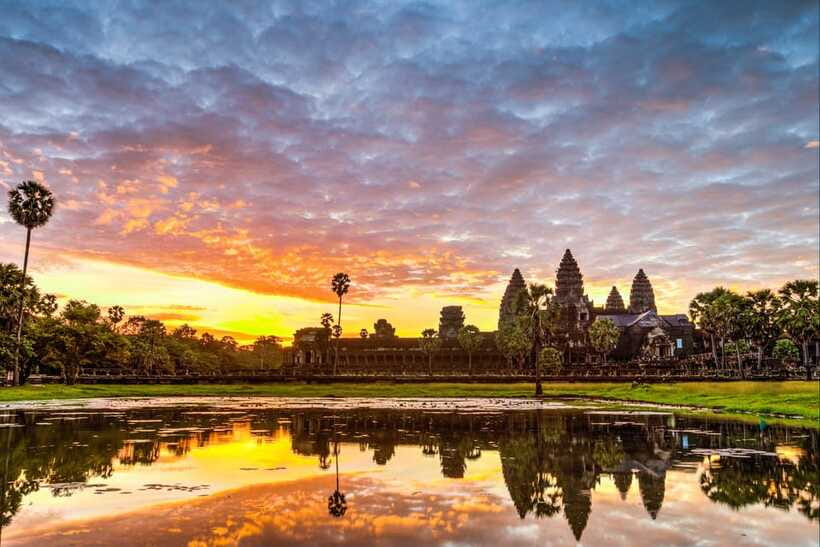 Siem Reap: Angkor Wat Sunrise Bike Tour & Jungle Breakfast - Ta Prohm at bike speed: roots in the doorway and the Tomb Raider vibe