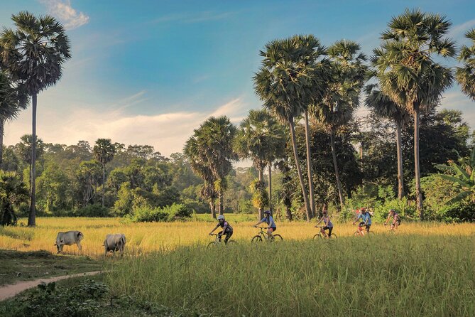 Siem Reap Countryside Guided Tour by Bike and E-Bike Private Tour - Key Things I’d Plan For