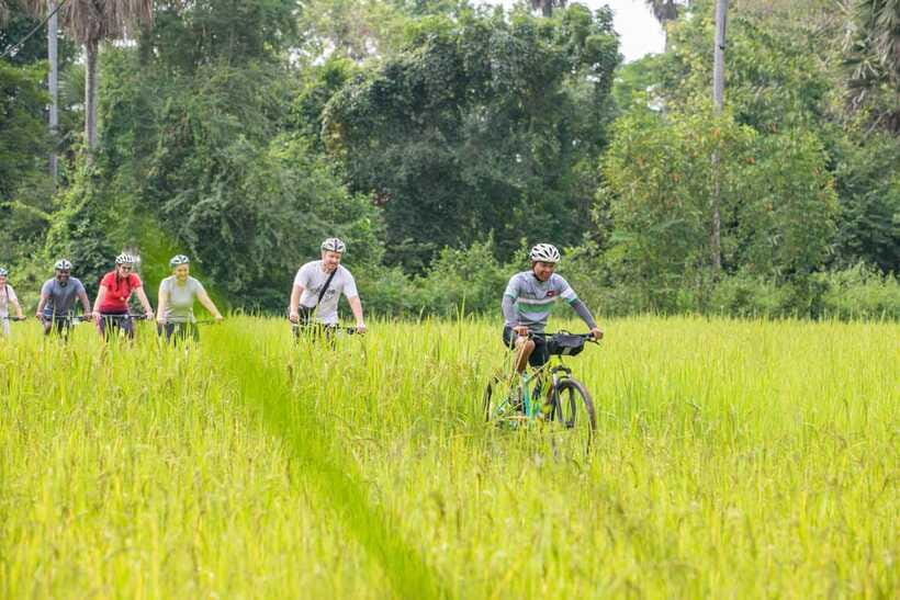 Siem Reap: Guided Countryside Bike Tour - Farms that go beyond photo ops: mushrooms, rice fields, and more