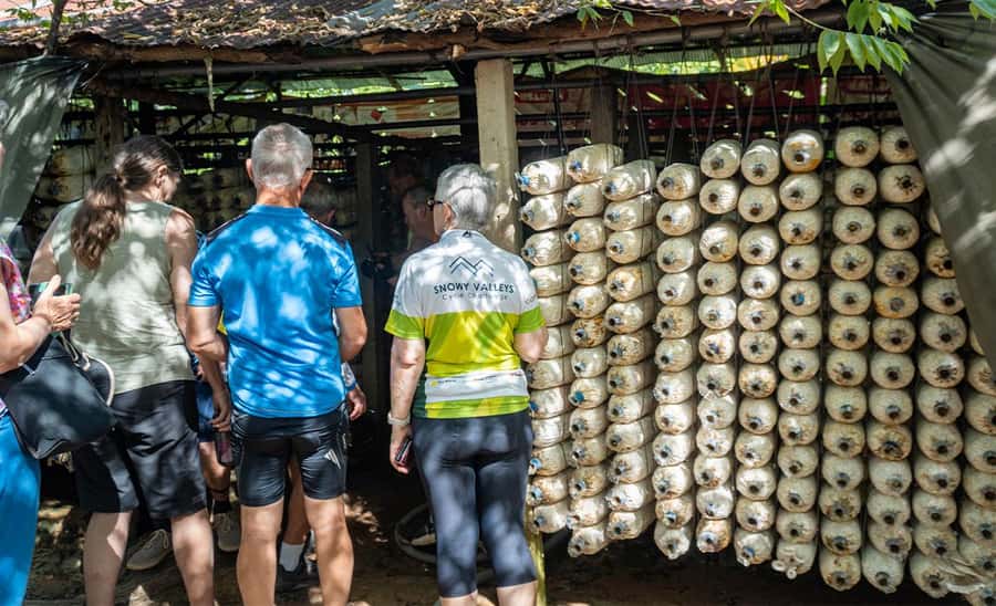 Siem Reap: Guided Countryside Bike Tour - How hard is it, really? What to wear and what to expect