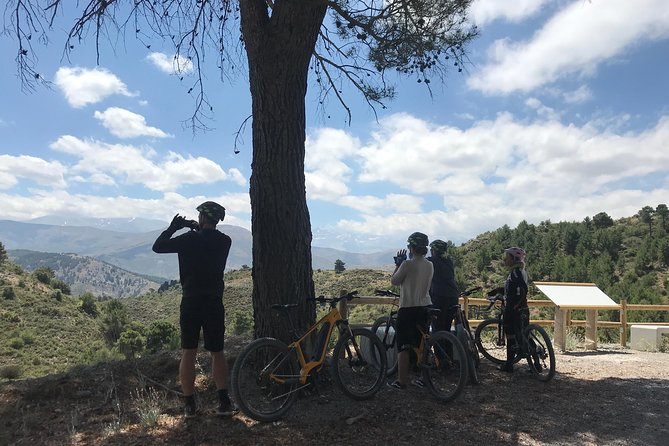 Sierra Nevada Ebike Tour Small Group - Group Size and Riding Level: Who This Tour Suits Best