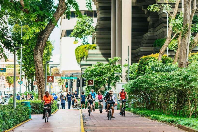 Singapore: Lion City Highlights Bike Tour - Little India, Bugis Village, and Haji Lane: Color, Contrast, Cameras