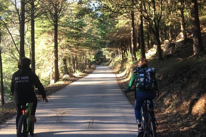 Sintra & Cascais e-bike Guided Tour - Cascais Bay finish near Fortaleza da Nossa Senhora da Luz