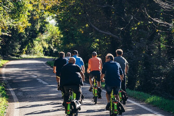 Small-group Amarone Wine e-Bike Tour from Verona - Valpolicella by e-bike: why this ride is such a sweet format
