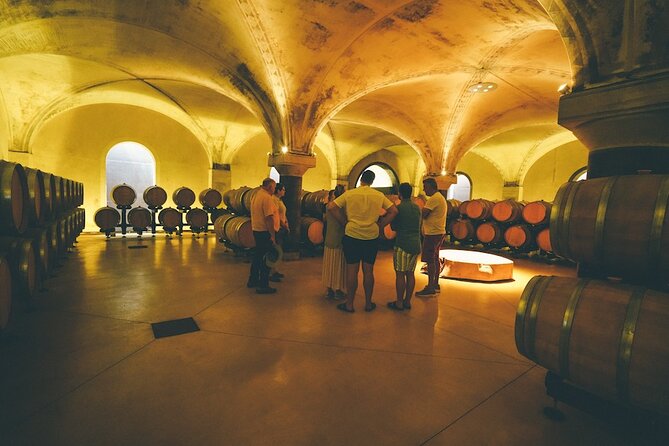 Small-group Amarone Wine e-Bike Tour from Verona - The winery stop: what you’re actually there to learn
