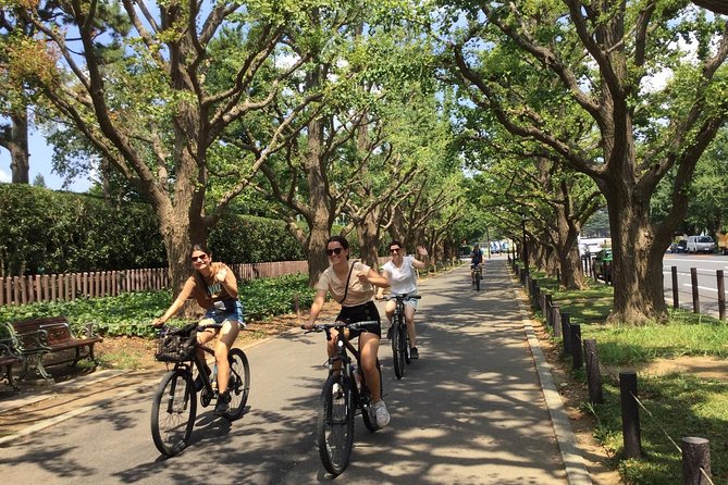 Small Group Cycling Tour in Tokyo - Roppongi Hills: a quick hit of shops and city energy