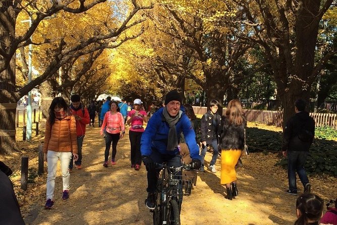 Small Group Cycling Tour in Tokyo - Imperial Palace: cycling the moat and easing back toward Shinjuku