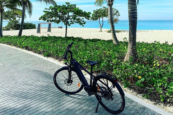 Small Group E-Bike Grand Cayman Ecological Half-Day Tour - Value for $129: What You’re Actually Paying For