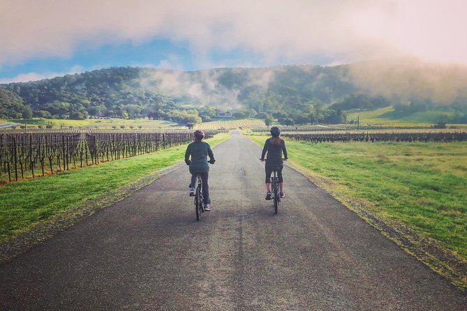 Sonoma Valley Pedal Assist Bike Tour with Lunch - Meeting at 1254 Broadway: What the Start Feels Like