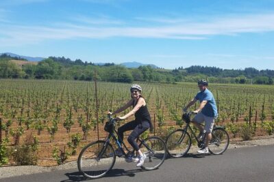 Sonoma Valley Pedal Assist Bike Tour with Lunch - The Riding Setup: Handlebar Bag, Water, and Bike Comfort