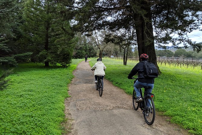 Sonoma Valley Pedal Assist Bike Tour with Lunch - Honrama Cellars and the First Winery Mood