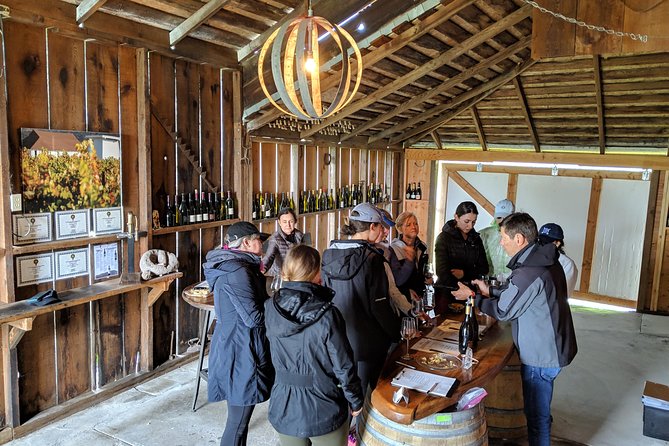Sonoma Valley Pedal Assist Bike Tour with Lunch - Vella Cheese Company: Behind-the-Scenes Factory Time