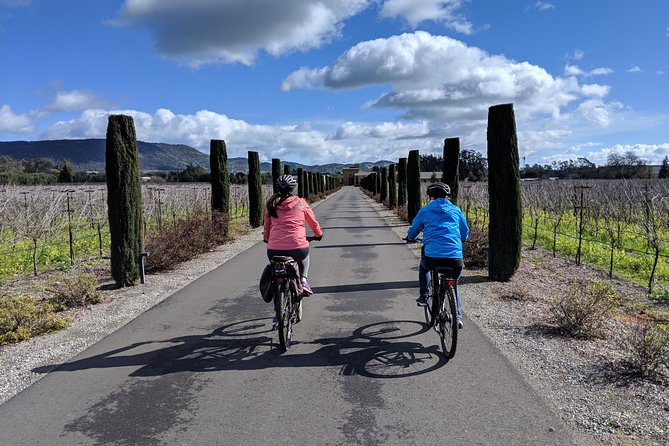 Sonoma Valley Pedal Assist Bike Tour with Lunch - Lunch at the Winery: The Meal That Makes It Feel Like a Day