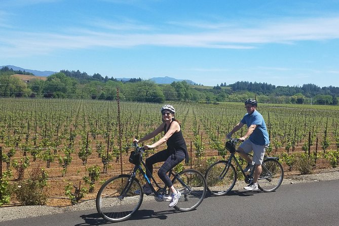 Sonoma Valley Pedal Assist Bike Tour with Lunch - The Riding Setup: Handlebar Bag, Water, and Bike Comfort