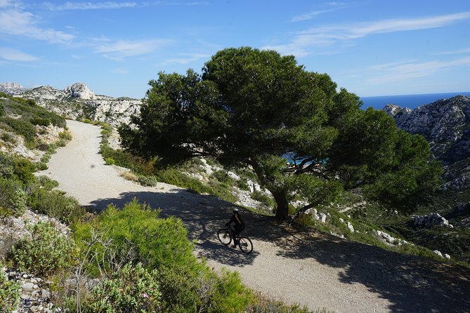 Sormiou Calanques National Park Electric Bike Tour from Marseille - Guides and group management: why the ride feels safe and fun
