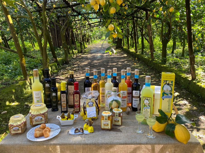 Sorrento: Coast E-Bike Tour with Limoncello Tasting - Key things to know before you go