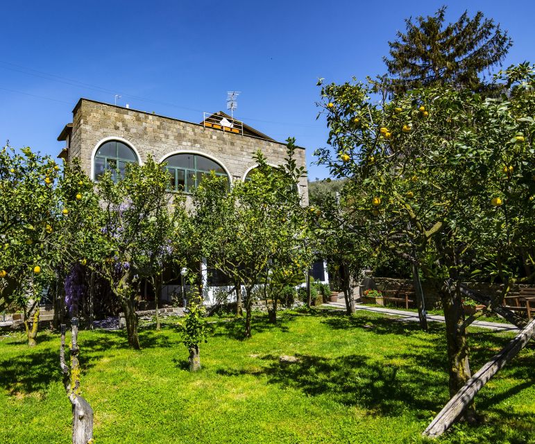 Sorrento: Coast E-Bike Tour with Limoncello Tasting - Olive trees, lemon groves, and how the guide ties it together