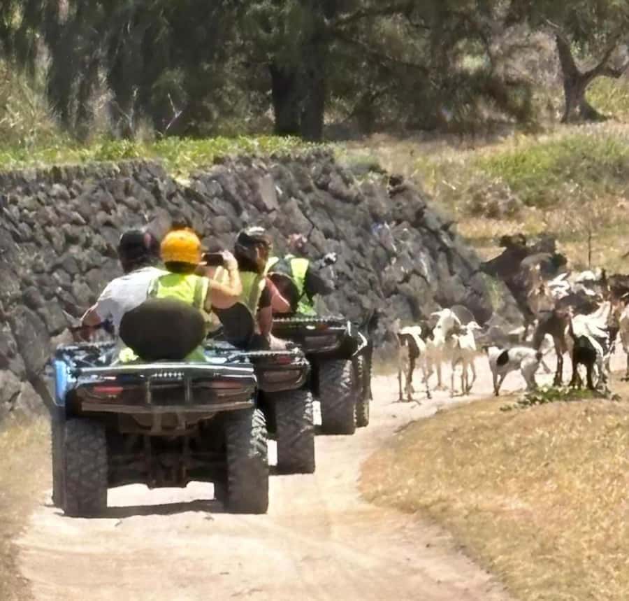 South of Mauritius: Quad Bike Tour - Who this quad tour fits best (and who should skip it)